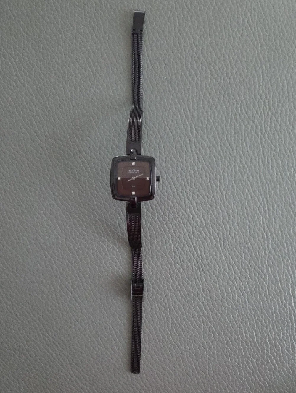 Skagen Women's Brown Dial Stainless Steel Bracelet Watch